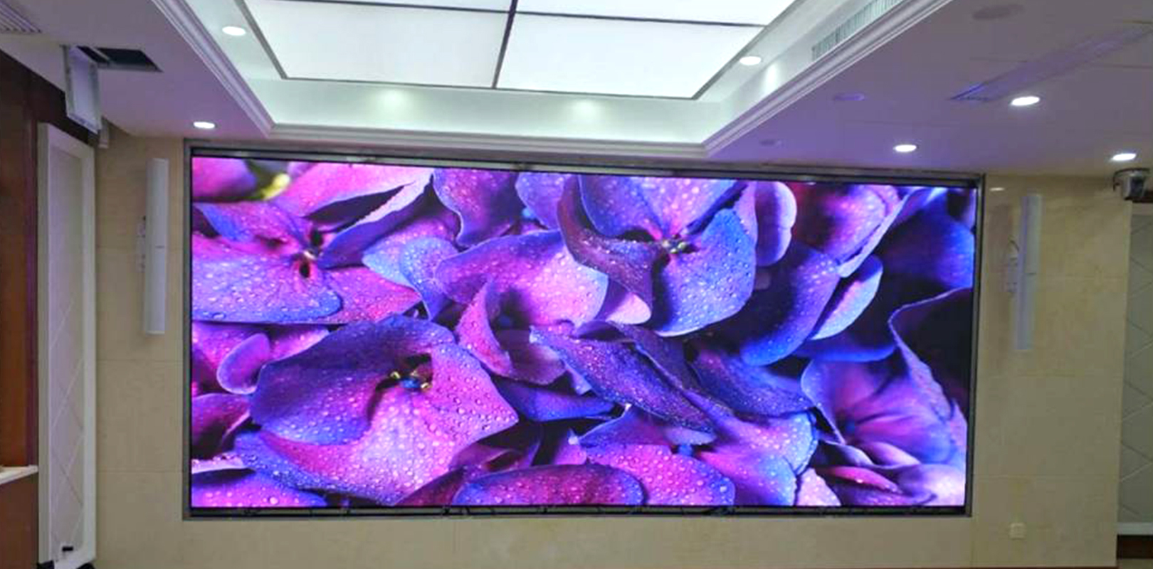 东升国际官网-钻营健全,你我一路成长