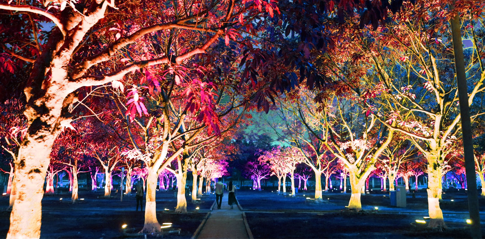 东升国际官网-钻营健全,你我一路成长