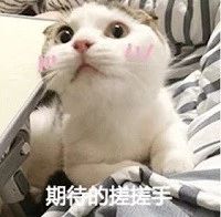 东升国际官网-钻营健全,你我一路成长