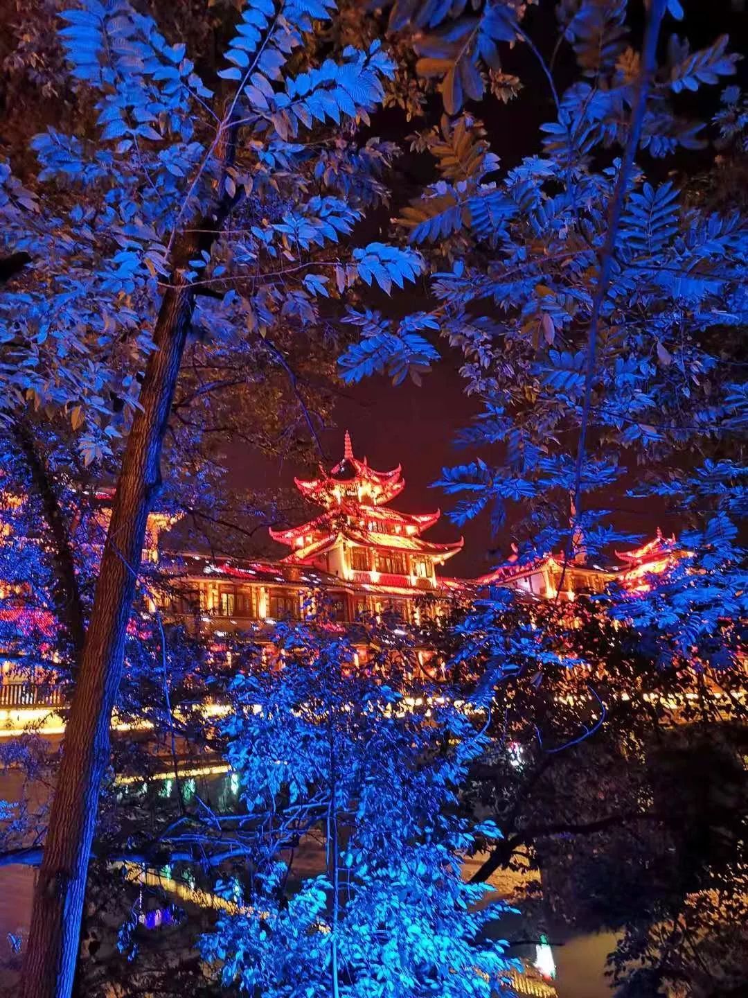 东升国际官网-钻营健全,你我一路成长