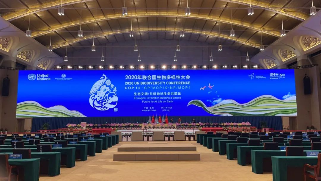 东升国际官网-钻营健全,你我一路成长