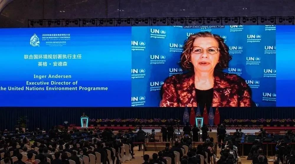 东升国际官网-钻营健全,你我一路成长