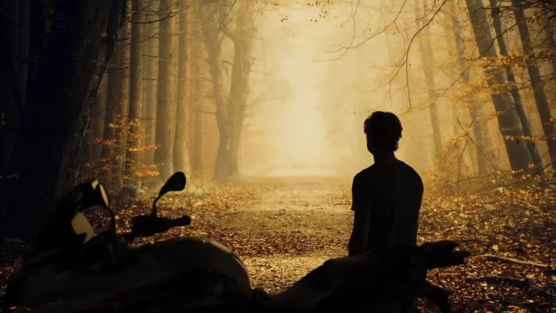 东升国际官网-钻营健全,你我一路成长