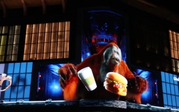 东升国际官网-钻营健全,你我一路成长