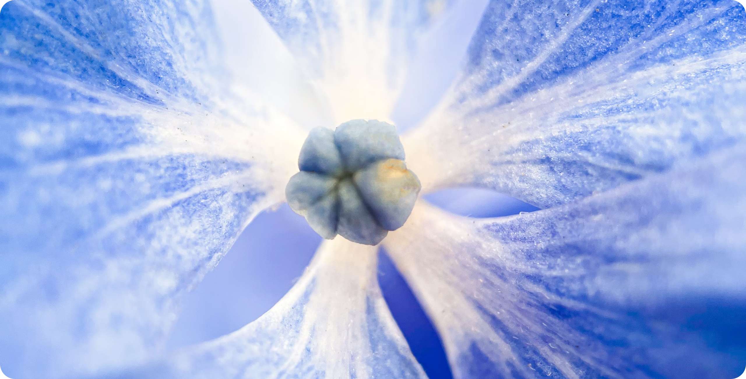 东升国际官网-钻营健全,你我一路成长